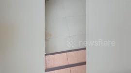 Wife accidentally floods house after leaving tap on while doing laundry in Thailand