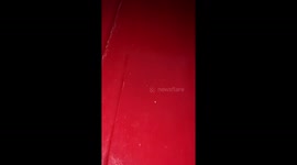 Sweet lady can't believe her daughter got her a new puppy *Heartwarming*