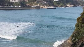 Surfing at Newquay in Cornwall on Towan Beach this Sunny afternoon