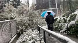 Seattle Snow Storm 4K - Downtown at The Spheres and Amazon Headquarters (2 of 2)