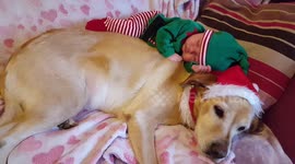 Heartwarming moment dog and baby have the cutest festive nap for Christmas in Ireland