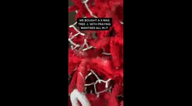 'They're everywhere!' Family's Christmas tree is infested with praying mantises