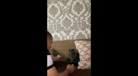 A cat wildly bites her owner due to his overly sweet actions towards her!