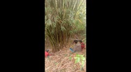 A guy pranks his friends in the forest!