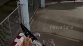 Hero pet dog killed by cobra while protecting home from deadly snake