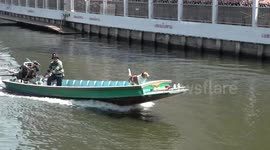 Pirate's life! Rescue dog rides boat every day at work with new adopted owner
