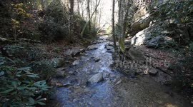 Babbling Brook in the Blue Ridge Mountains pt1