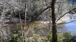 Babbling Brook pts
