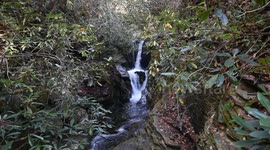 Babbling Brook Waterfall in the Blue Ridge Mountains