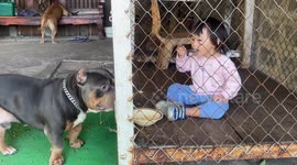 Cute baby girl eats bowl of rice with huge pet bulldog