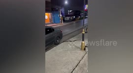 Terrified residents throw newspaper on wild snake to chase it off car in Thailand