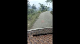 The driver drivers the car through the narrow mountain road with the most bends in Vietnam