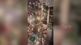 Mum makes magical Grinch inspired Christmas tree - all for under £100