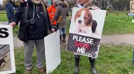Protesters demand the release of MBR Acres beagle puppies held by police in Huntingdon