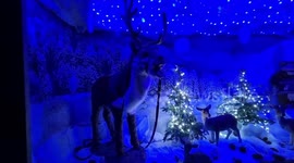 Singing deer christmas installation in Kernow, UK