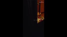 Woman flies to Boston to surprise college roommate on Thanksgiving Day after not seeing her for 6 YEARS! *HEARTWARMING*