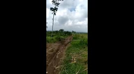 High speed motorbike riding crash on a tree!