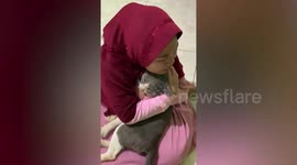 Little girl breaks down in tears when missing pet cat returns after two years