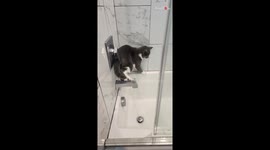 Water-hating cat fighting for his life after getting stuck in bathtub *HILARIOUS*