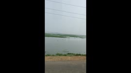 Kolleru lake india