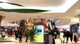 Christmas Preparation in Toronto, ON, Canada