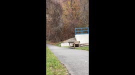 Skateboarder filled with pain & regret after fun trick idea BACKFIRES on him