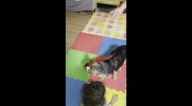 cute toddler girl misunderstand the command to teach the puppy how to spin, she was spinning instead.
