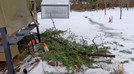 Daytime view of damage after Metro Vancouver Ice Storm in Metro Vancouver, BC, Canada