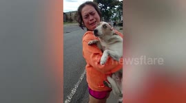 Tearful pet owner has heartwarming reunion with her dog who had gone missing for a month