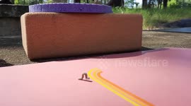 Caterpillar crawls cartoonishly when it was lost on picnic mat at park