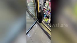 Amused customer helps pet cat she found inside 7-Eleven fridge