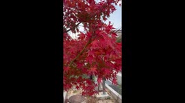 Winter starting sign