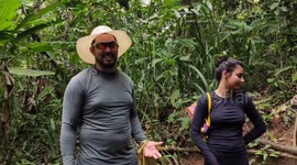 Tour of the beaches of the north coast of São Paulo, Brazil