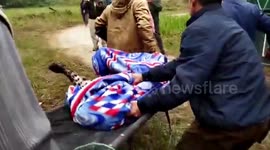 Leopard caught and rescued after attacking a vehicle in India
