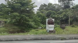 Bizarre big orangutan sitting on commode at street of Borneo Island