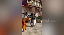 Policeman rides cherrypicker to save stray cat stuck on Buddhist temple's roof for five days