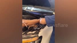 Man rescues stray ginger cat that crawled into car engine for warmth