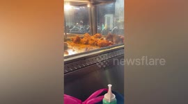 Cheeky rat gorges on fried chicken in front of stunned diners at Malaysian restaurant