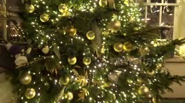 Oasis of Christmas Lights at Hush Mayfair in London