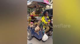 Grandma carries 12 adorable poodle dogs on motorcycle in Vietnam