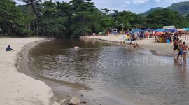Aerial view of Praia do Lazaro in Ubatuba, SP, Brazil