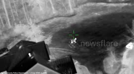 Llama on the loose prompts police intervention in Fairfax County, Virginia