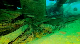 Seabreams and scorpionfish, inhabitants of the River Gurara shipwreck, near Espichel Cape - Sesimbra - Portugal.