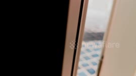 Astonished with a snake at my door!