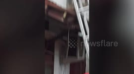 Ginormous 26ft long python pulled from family's ceiling injuring one firefighter