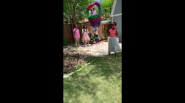 Pin-OW-ta! Dog accidentally gets whacked by San Antonio girl hunting for candy
