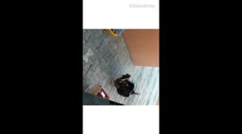 I saw a turkey in front of my door and decided to have a turkey chat with him or her