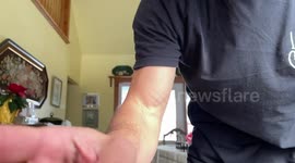 Canadian dad pulls off epic trick with ridiculous Christmas gift