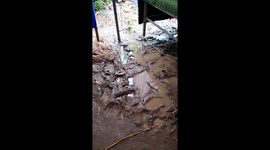 Wedding in mud: Vietnamese people party hard despite flood's impact