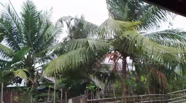Rain Accompanied by Strong Winds